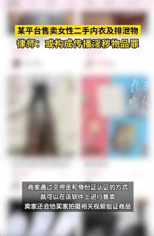 暗网黑市曝光！惊人交易曝光：女性二手内衣竟与排泄物交易？（黑市交易）
