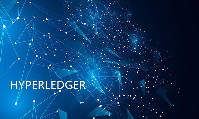Hyperledger Fabric 核心概念（fabric货币资讯）