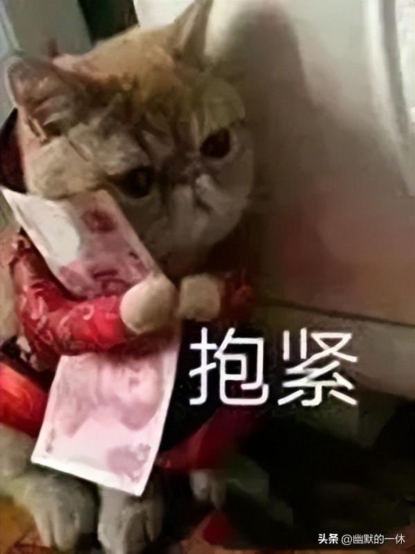 警惕！4月份54个互联网“投资”项目现状！有的是刚上线的杀猪盘（aidog）
