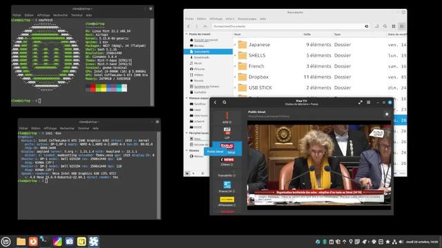 Linux Mint 开始为用户提供速度更快的软件源（mint）
