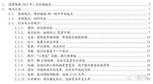 国君策略：2023年1月金股组合（wpe货币资讯）
