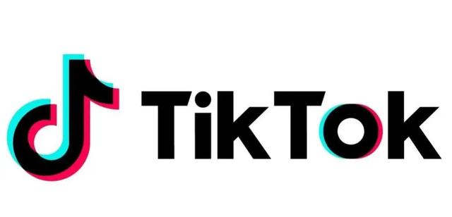 "TikTok：2023年美国狂赚160亿美元！为何是让人又爱又恨的平台？（国外赚钱平台）