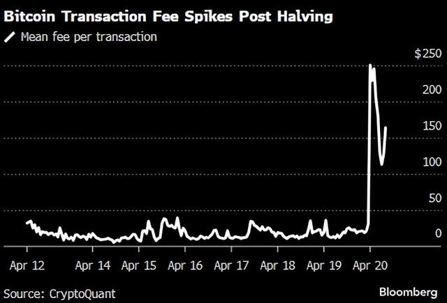 “减半”令新代币供应减少，比特币矿企或面临收入损失！比特币平均交易费用跃升超过730%（交易所交易货币资讯）