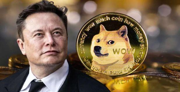 狗狗币将如何与 Twitter 合并——卡尔达诺创始人说（topdog货币资讯）