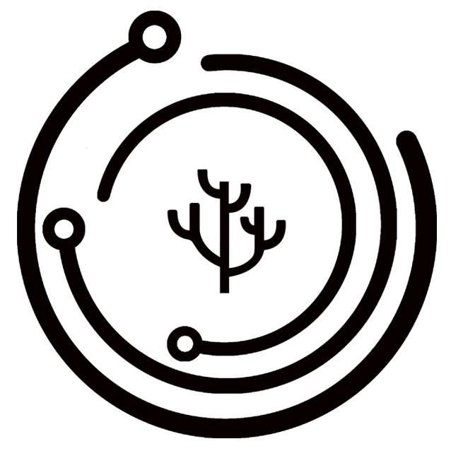 爸爸，学数学有什么用？（ddk货币资讯）
