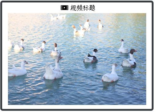 许之彦：近年来，金价屡创新高的根本动力在哪里？「黄金大师课第3讲」（金本位货币资讯）