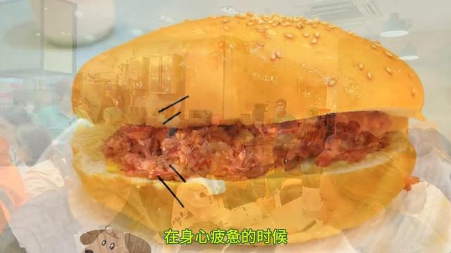 香港美食&港珠澳大桥|港澳自由行攻略（下）（sgo货币资讯）