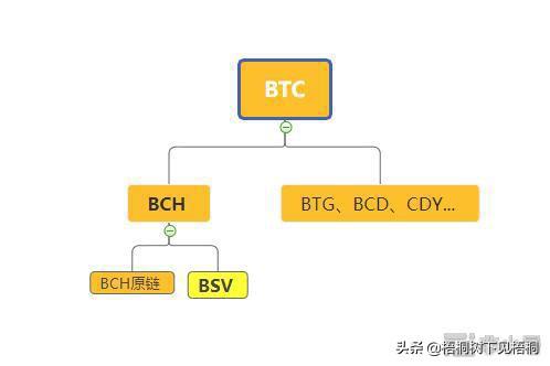 BSV、澳本聪与减半行情 最全梳理，帮你赚到认知之中的钱（非小号官网货币资讯）