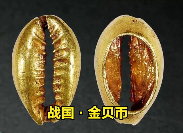 【揭秘】夏商周时期的海贝币：一贝可购一亩田，你收藏古钱币么？（币贝货币资讯）